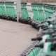 Aizsardzība uz riteņiem: No šodienas elektroskrejriteņiem obligāta OCTA