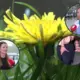 Anafilaktiskais Šoks: Klusais Drauds, Kas Var Pārsteigt Ikkatru – Vai Esat Tam Gatavs?