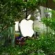 Apple cīnās pret eiropas milzīgo sodu par app store ierobežojumiem