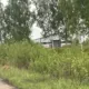 Apturēta granulu ražotnes būvniecība Daugavas lokos: Sadursme starp attīstību un dabas aizsardzību UNESCO saraksta tuvumā