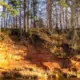 Atklājiet Salacas Ielejas Burvību: Vasaras Foto Orientēšanās Spēle "Salacas Ielejas Dārgumi" Ielūdz Piedzīvojumos!