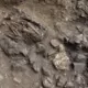Atklāts 7100 Gadu Sens Cilvēka Tips Ķīnā – Varētu Izskaidrot Tibetas Tautu Izcelsmi