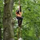 Baltijas Arboristu Elites Sacensības Pārņem Carnikavas Parka Ozolus: Meistarība, Drosme un Cieņa Pret Dabu
