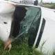Bīstamais riesta laiks: Auto sadursmes ar stirnām un aļņiem rada miljoniem eiro zaudējumus un augstu risku uz Latvijas ceļiem