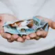 Igaunijas algu rekords: Vidējā samaksa pārsniedz 2000 eiro – cik tālu esam mēs, un kas veicina kaimiņu labklājību?