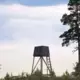 Jaunā medību sezona Latvijā sākas ar vilku limita rekordu un būtiskiem izaicinājumiem