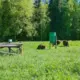 Lāči atgriežas: Cik daudz jāzina dabā gājējiem un lauksaimniekiem par jauno realitāti Latvijas mežos?