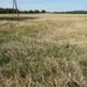 Latvijas Lauksaimniecība Lūdz Palīdzību: ZM Aicina Izsludināt Ārkārtas Situāciju Plūdu un Salnu Dēļ