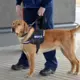 Latvijas Muita Pirmajā Pusgadā Apturējusi Vairāk Nekā Tūkstoti Sankcijām Pakļautu Preču Sūtījumu