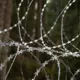Nemierīgā Austrumu Robeža: 57 Nelegālie Pārkāpēji Diennaktī, Tūkstošiem Kopš Gada Sākuma – Hibrīduzbrukums Turpinās