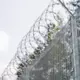 Nerimstošais hibrīdspiediens: 71 migrants mēģina nelikumīgi iekļūt Latvijā, atturēto skaits pārsniedz 6400 šogad