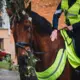 No Zirga Pajūga līdz Jaudīgam Auto: Valsts Policijas Stingrās Pārbaudes Līgo Svētkos Uzsver Absolūtu Bezatbildības Nulles Toleranci