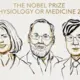Nobela prēmija medicīnā piešķirta par izrāvienu cīņā pret vēzi un autoimūnām slimībām