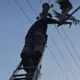 Pašaizliedzīgs vīrietis glābj elektrības vados sapinušos stārķi
