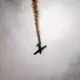 Pēkšņa Aviošova Atcelšana: "Baltic International Airshow 2025" Gaisā Paliek Nepārliecinošs Drošības Plāns