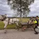 Policija Pirms Līgo Svētkiem Pastiprina Pārbaudes: Skarbā Realitāte un Zirgu Pajūgu Vadītāju Pārsteidzošā Iekļaušana Ceļu Drošības Kontrolē
