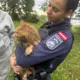 Policists glābj Daugavā iemestu kaķi; uzsākts kriminālprocess par cietsirdīgu izturēšanos