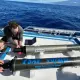 Revolucionārs Autonoms Hidrofons: PSAP Voyager Izmanto Okeāna Siltumu Spēka Iegūšanai
