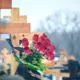 Rīgā plāno jaunu kapsētu Baltegļu ielā 30: Publiskā apspriešana sākas 1. jūlijā