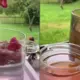Rožu tējas recepte: ziedu karalienes dziedinošais eliksīrs katrai dienai