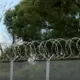 Satriecošs migrantu spiediens: uz Latvijas-Baltkrievijas robežas šogad atturēti teju 8000 nelegālo robežšķērsotāju