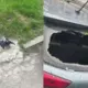 Šāvieni, izsists stikls un beigta vārna: satraucošais nakts noslēpums Iļģuciemā