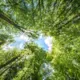Spoža saule iekrāso rītu: Latvija bauda jūlija vasaras šarmu