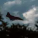 Spriedze "Boeing" rūpnīcās: iznīcinātāju ražotāji sāk streiku, apdraudot valsts drošību