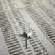 Srebrenica piemin genocīda 30 gadadienu: atcere, meklējumi un taisnīguma ceļš