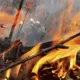 Tīringenes meža ugunsgrēks pakļauts kontrolei: varonības un solidaritātes stāsts Vācijā