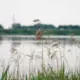 Traģēdija Olaines pusē – Līdumu karjerā noslīcis septiņus gadus vecs zēns