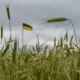 Ukraina Pasniedz Vēl Vienu “Sāpīgu Dāvanu”: Krievijas Militārā Tehnika Krimā Nav Pasargāta
