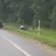 Uz A9 Šosejas "Nissan" Sadalās Divās Daļās Pie Kravas Auto – Brīnums vai Skarbs Brīdinājums?