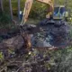 Vai tīrs mežs ir sapnis? “Latvijas valsts meži” iegulda milzu pūles, lai tā būtu realitāte