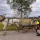 Valsts Policijas Drosmīgais Gājiens: Alus Trubiņā Pat Zirga Pajūga Vadītājam – Kā Likums Sargā Visus uz Ceļa?