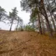 Zvirgzdes baltajā kāpā atklāta jauna pārgājienu taka: baudiet dabas varenību un mieru!