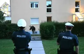 Alnis Emīls noslēdz iespaidīgo Centrāleiropas ceļojumu Austrijā