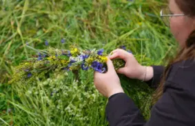 Apdrošinātāji Brīdina: Jāņu Zāļu Meklēšana un Līgošana – Aizraujoši, bet Riska Pilni Piedzīvojumi