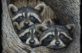 Astoņās vietās konstatēti bez atļaujas turēti invazīvie dzīvnieki, apdraudot Latvijas dabu