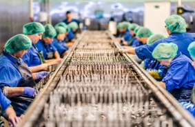 «Banga Ltd»: drosmīga virzība starptautiskajos ūdeņos un investīcijas ilgtspējīgā nākotnē