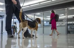 Beidzot atvieglojums ceļotājiem: asv lidostās atceļ 20 gadus senu apavu novilkšanas prasību