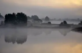 Biezā migla Rīgā saglabāsies līdz priekšpusdienai, autovadītājiem jābūt uzmanīgiem