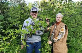 Bioloģiskās lauksaimniecības platības Latvijā turpina pieaugt: tendences un izaicinājumi