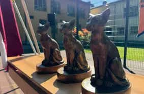 Ceļojošā Kaķa balva Rīgas skolā: Unikāla tradīcija, kas iedvesmo un saliedē klašu kolektīvus