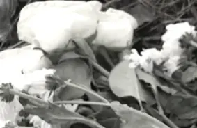 Daugavpili satricina nežēlīga slepkavība: jaunam vīrietim desmitiem durtu brūču