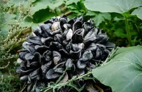 Daugavpils Rotko muzejā rudens piepildīsies ar keramikas apveidiem un glezniecības spēku: atklāj sešas jaunas izstādes