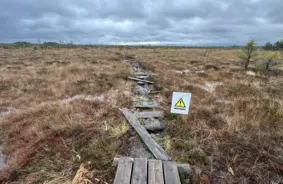 Dunikas purva taku atjauno trīs kilometru garumā; apmeklētājus aicina būt piesardzīgiem