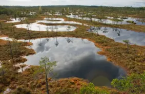 Dzīvības elpa atgriežas: Latvijas purvos sākas vērienīgi atjaunošanas darbi vitalitātes atgūšanai un klimata stabilizēšanai