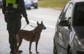 Eiropas Savienība apstiprina jaunu robežu šķērsošanas sistēmu: kas jāzina iebraucējiem Latvijā?