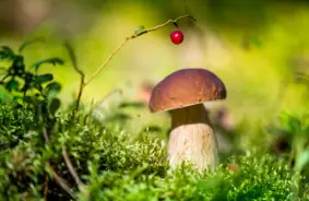 Horoskopi piektdienai, 3. oktobrim: Jauni plāni un plašāka perspektīva